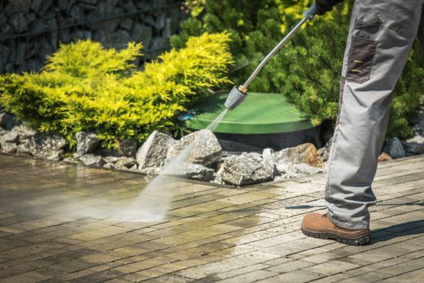 Animal Enclosure Cleaning in Brent, FL