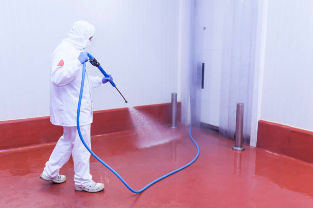 Best Solar Panel Cleaning  in Brent, FL